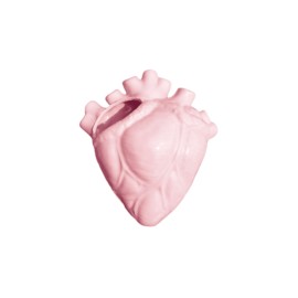 Jarrón de corazón anatómico