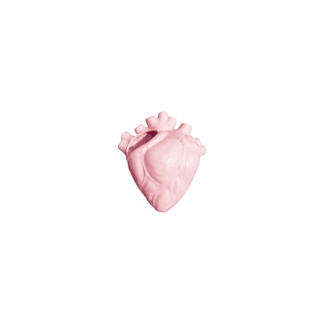 Jarrón de corazón anatómico