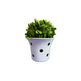 Maceta de cerámica para orquídeas