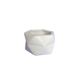 Maceta Minimalista Geométrica en hexágono