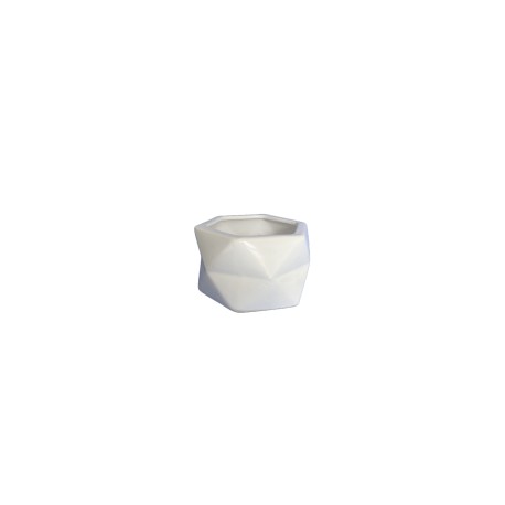 Maceta Minimalista Geométrica en hexágono