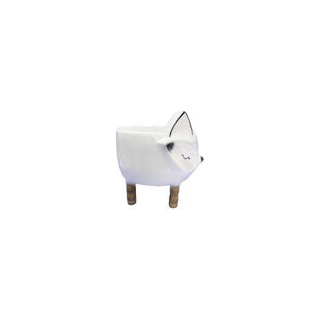 Zorrito con patitas